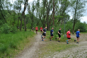 Na zdjęciu biegnący ścieżką, wśród zieleni uczestnicy