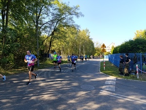 Na zdjęciu biegnące w półmaratonie osoby.