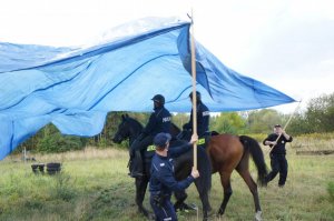 Pokaz policji konnej