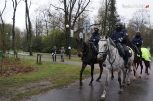 Policjanci na koniach służbowych patrolują okolice Parku Śląskiego.