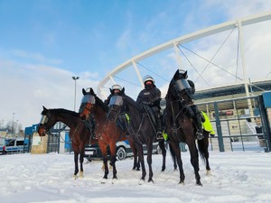 Zdjęcie przedstawia czterech policjantów na koniach