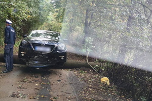 zdjęcie-dzień, auto przednią częścią wisi na przewróconym drzewie, obok policjant