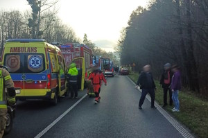 droga , służby ratownicze, uszkodzone auto, pochmurno, dzień
