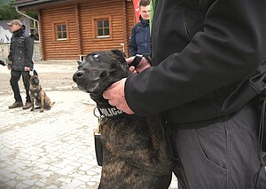 psy służbowe ze swoimi opiekunami
