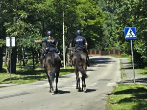 policjanci jadą konno na koniach służbowych, słońce, piękna pogoda