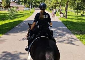 policjanci jadą konno na koniach służbowych, słońce, piękna pogoda