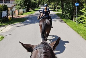 policjanci jadą konno na koniach służbowych, słońce, piękna pogoda