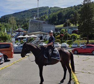 policjanci jadą konno na koniach służbowych, słońce, piękna pogoda
