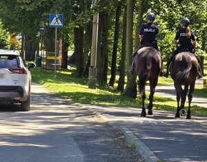 policjanci na koniach jadą ścieżką