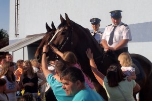 Policjanci na festynie w Aleksandrii.