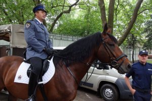 Międzynarodowe Mistrzostwa Policji Konnych na Węgrzech.