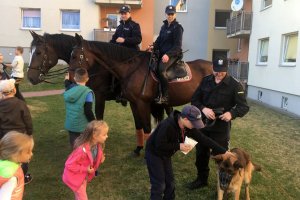 Policjanci na koniach wśród dzieci.