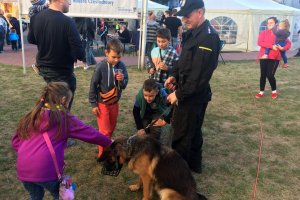 Policjanci na koniach wśród dzieci.