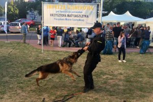 Policjanci na koniach wśród dzieci.