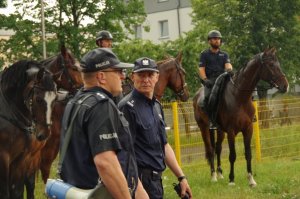 policjanci i konie służbowe