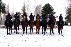 policyjni jeźdźcy i konie służbowe stoją w szeregu pozują do zdjęcia na dworze na tle zaśnieżonego wybiegu dla koni
