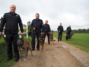 5 policjantów z psami służbowymi pozuje do zdjęcia na terenie otwartym