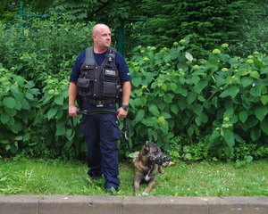 policjant z psem służbowym stoją na trawniku