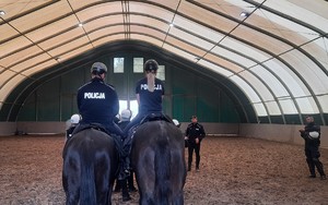 Policjanci na koniach odwróceni tyłem jadą w kierunku ustawionych policjantów