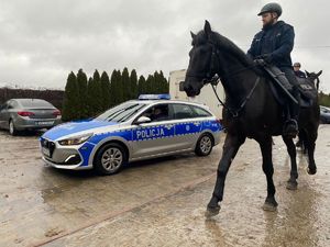 Na pierwszym planie policyjny jeździec na koniu służbowym, za nim radiowóz z włączonymi sygnałami błyskowymi.