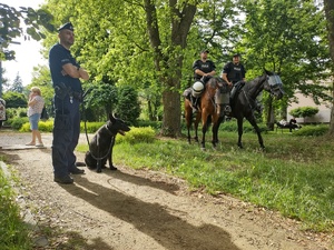 Policjanci na koniach i policjant z psem stoją w parku