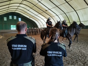 Strażnicy przyglądają się ćwiczeniom policjantów na koniach