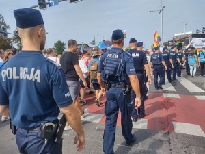 Policjanci zabezpieczają przemarsz