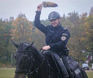 Policjant na koniu triumfując zwycięstwo trzyma ogon lisa nad swoją głową