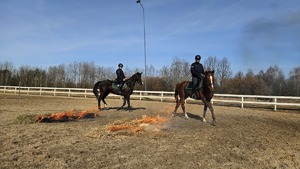 Policyjni jeźdźcy na koniach przy ogniu