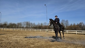 Policjant na koniu podczas ćwiczeń na podwórku