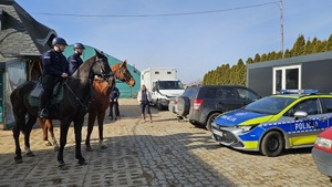 Policyjni jeźdźcy stoją na parkingu samochodowym