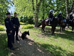 Policjanci na koniach i z psem służbowym stoją w parku
