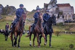 Policjanci na koniach w plenerze