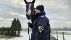policjant z koniem służbowym