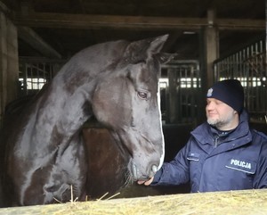 policjant z koniem służbowym