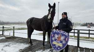 policjant z koniem służbowym
