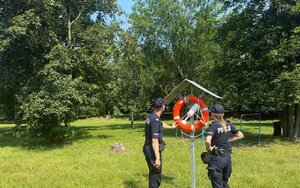 Policjanci sprawdzają oznaczenia na drzewie