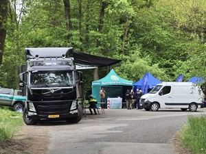 Na placu w lesie stojące samochody osobowy, ciężarowy i dostawczy