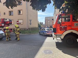 Na ulicy stoi pojazd Straży Pożarnej i oznakowany radiowóz Policji
