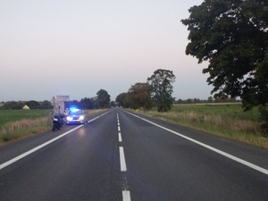 W oddali na poboczu stoi oznakowany radiowóz Policji. Przed nim motocykl.
