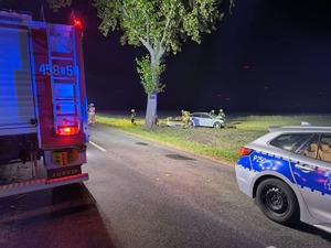 Zdjęciu wykonane nocą. Na pierwszym lanie fragmenty radiowozu oznakowanego Policji i Wozu strażackiego. W tle widać pole, drzewo i stojący pojazd osobowy.