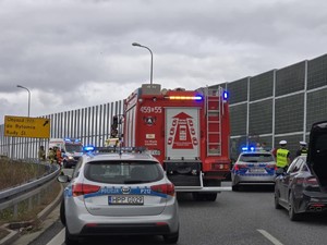 Na jezdni stoi Straż Pożarna i radiowozy Policji. Pomiędzy nimi przemieszczają się funkcjonariusze obsługujący wypadek drogowy.