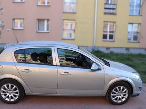 Pod blokiem stoi zaparkowany samochód z rozbitymi szybami bocznymi