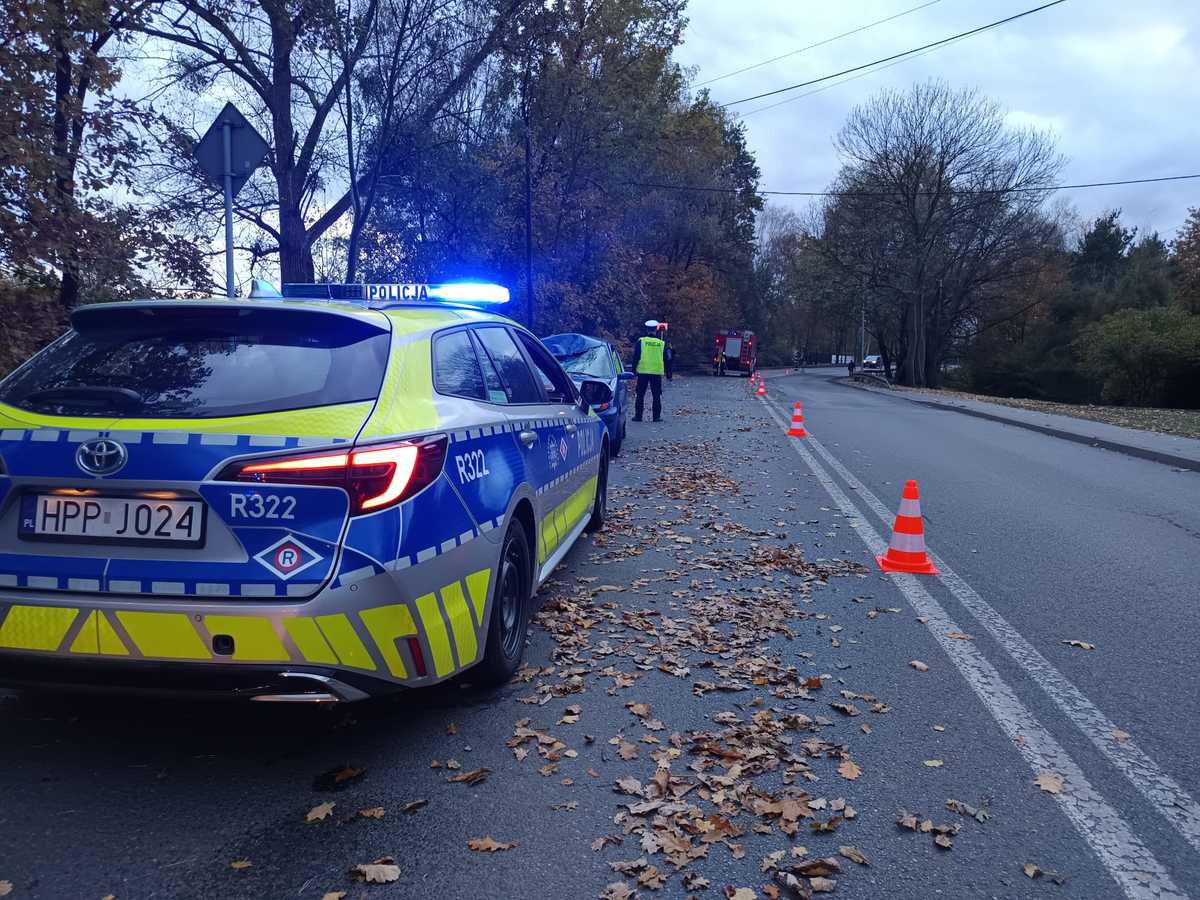 Zdjęcie radiowozu oraz policjanta ruchu drogowego na miejscu zdarzenia drogowego. W oddali widać wóz strażacki.