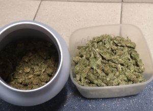 Zdjęcie kolorowe, przedstawiające zabezpieczoną marihuane.