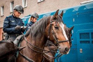 Zdjęcie przedstawiające policjantkę na koniu w Jastrzębiu-Zdroju