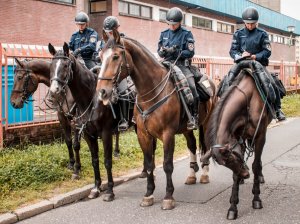 Zdjęcie przedstawiające policję konną na meczu w Jastrzębiu-Zdroju