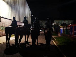 Zdjęcie przedstawiające zabezpieczenie meczu w Jastrzębiu-Zdroju gdzie widać policje konną.