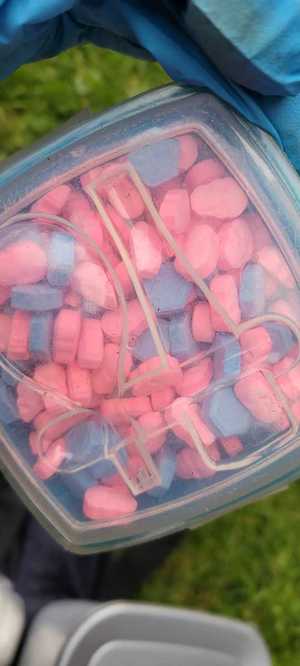 Zdjęcie kolorowe, przedstawiające zabezpieczone narkotyki w plastikowym pojemniku.