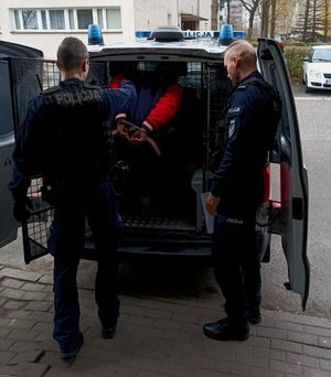 Zdjęcie przedstawiające Policjantów oraz osobę zatrzymaną wprowadzaną do pojazdu.